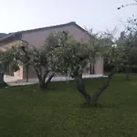 L Olivo