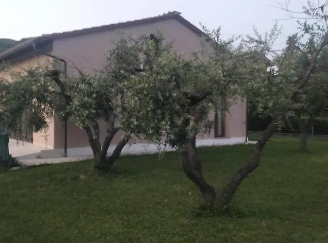 L Olivo