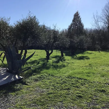 L Olivo Сasa de vacaciones Lucca